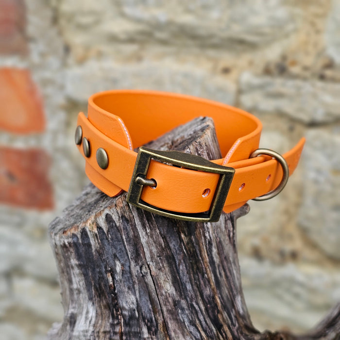 Burnt Orange - Waterproof BioThane® Sighthound Collar / wide-fit Dog Collar