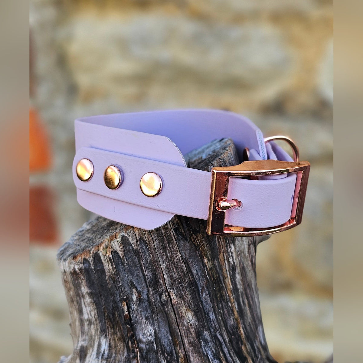 Lilac - Waterproof BioThane® Sighthound Collar / wide-fit Dog Collar