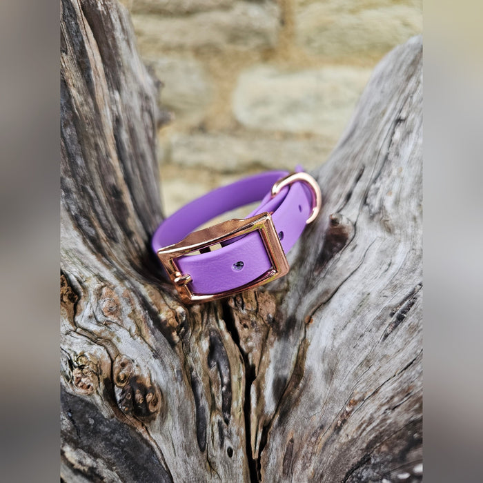 Amethyst - Waterproof BioThane© Dinky Dog Collar