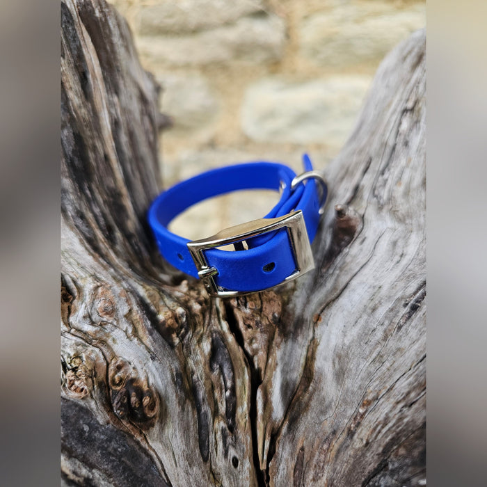 Royal Blue  - Waterproof BioThane© Dinky Dog Collar