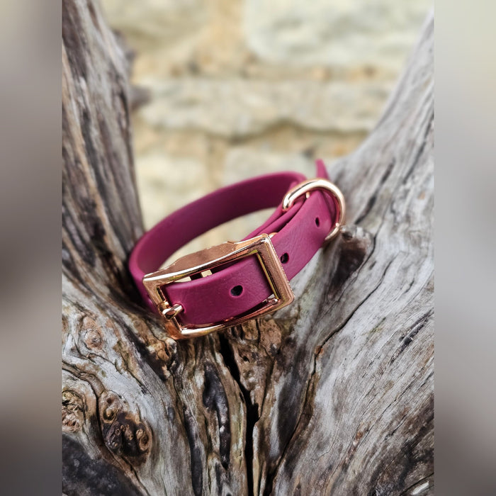 Burgundy - Waterproof BioThane© Dinky Dog Collar