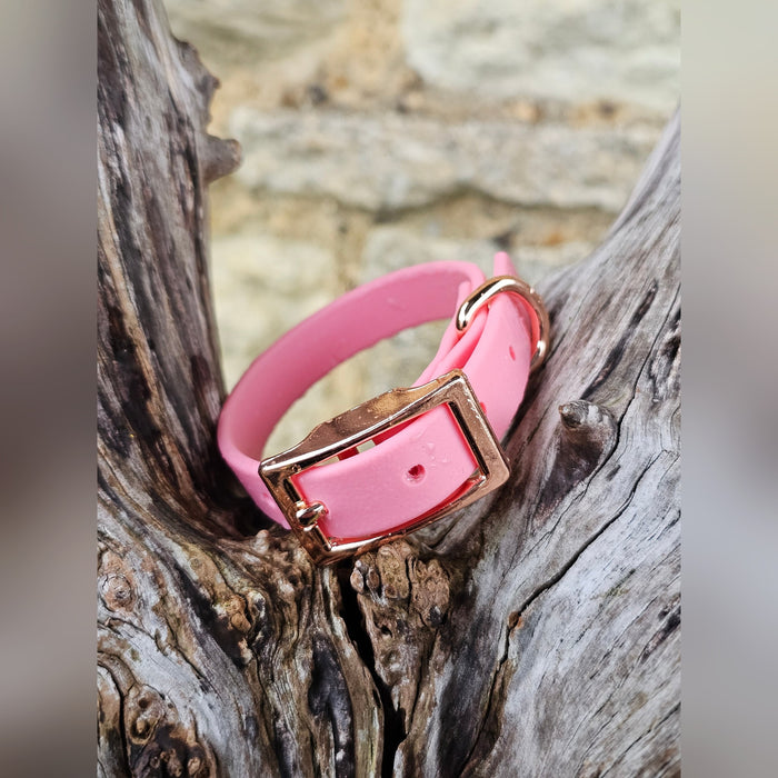 Baby Pink - Waterproof BioThane© Dinky Dog Collar