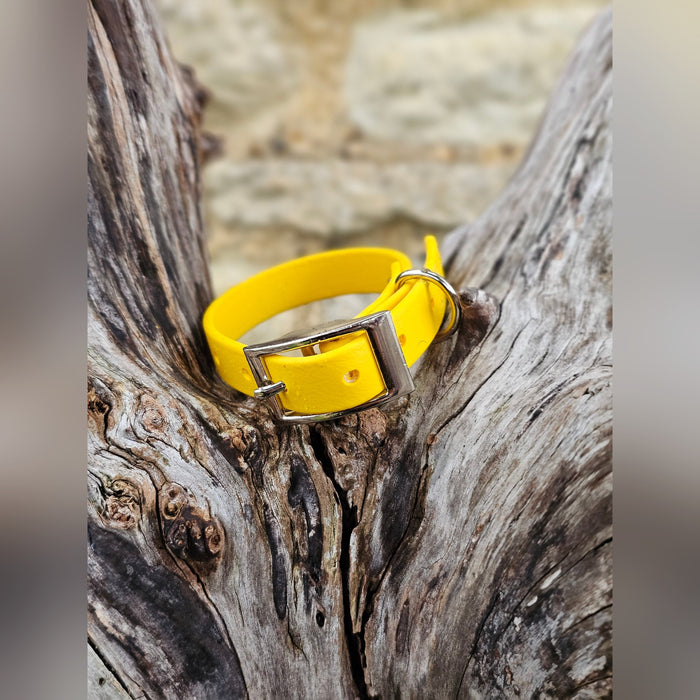 Yellow - Waterproof BioThane© Dinky Dog Collar