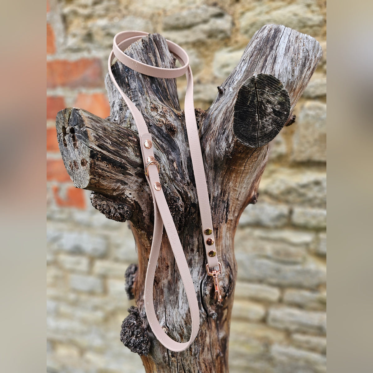 Powder Pearl - Waterproof BioThane© Dinky Dog Lead