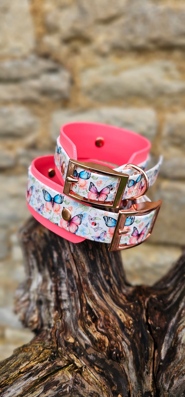 Butterfly Burst - Statement Wrap Printed Waterproof BioThane© Dog Collar