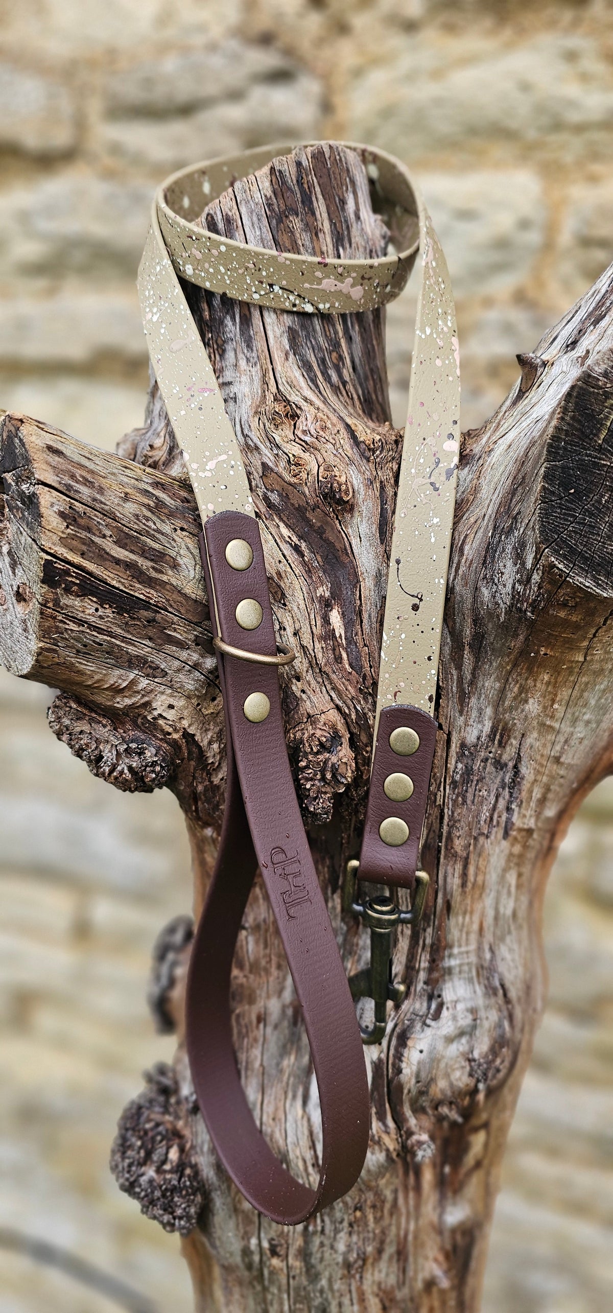 Canyon Trail - Waterproof BioThane© Splatter Dog Lead