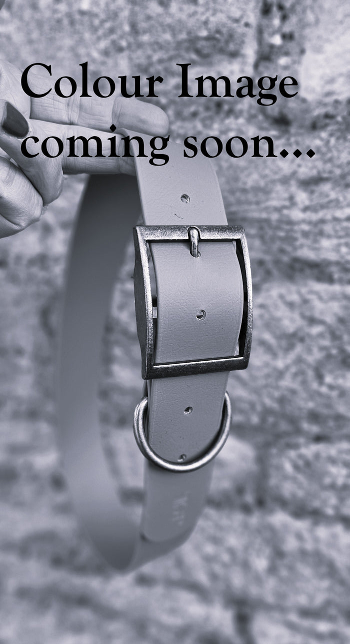 Black - Mighty Paws Waterproof BioThane© Dog Collar