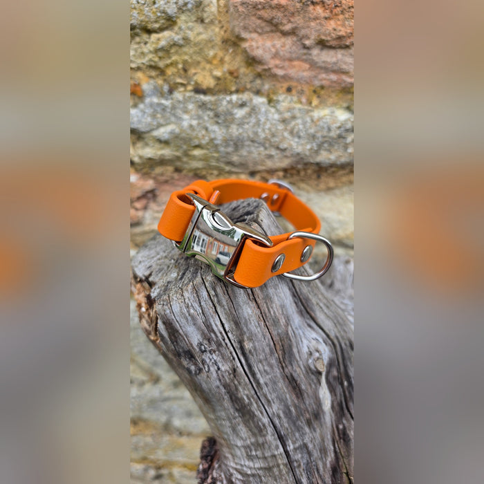 Burnt Orange - Everlast Waterproof BioThane© Quick-Release Buckle Dog Collar