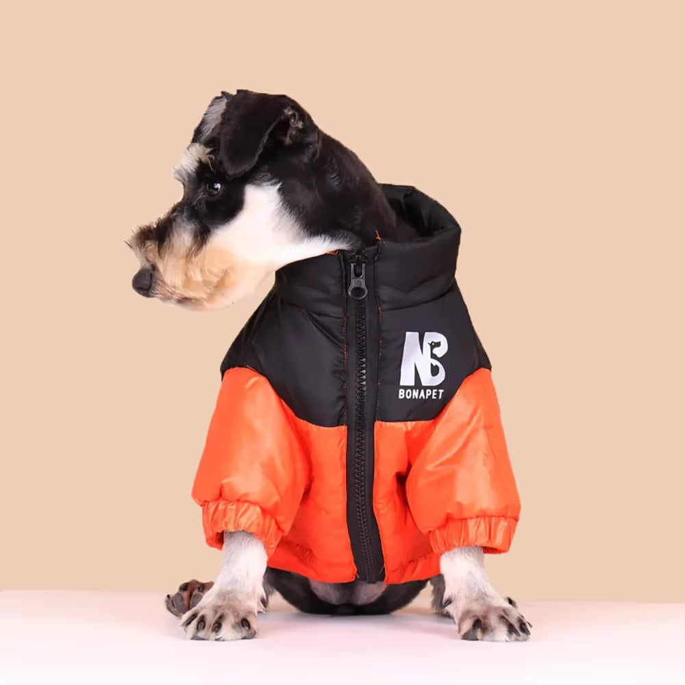 Luxury Dog Down Jacket – Warm, Waterproof & Reflective Winter Coat ❄️🐶