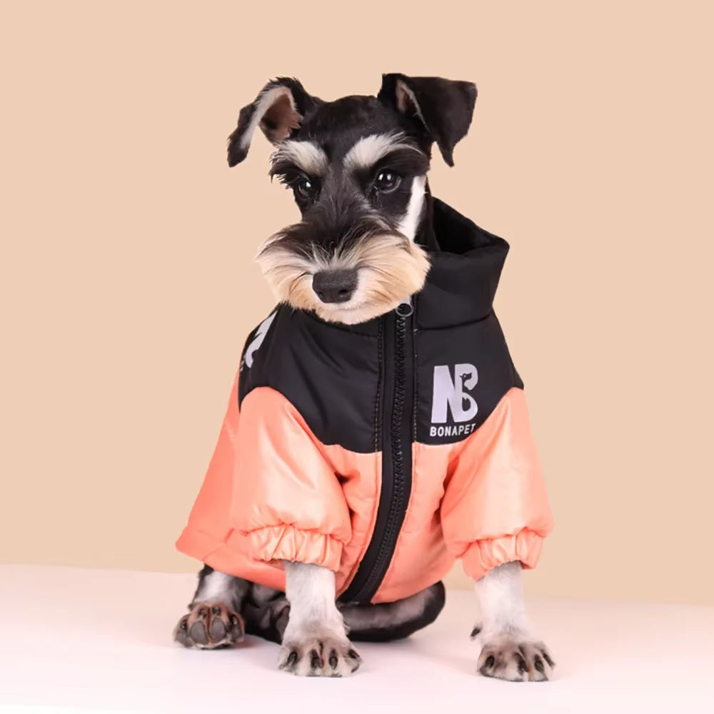 Luxury Dog Down Jacket – Warm, Waterproof & Reflective Winter Coat ❄️🐶