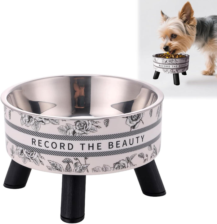 Raised 400ml stainless steel dog food and water bowl