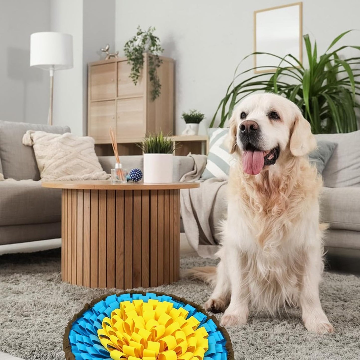 Interactive Dog Snuffle Mat