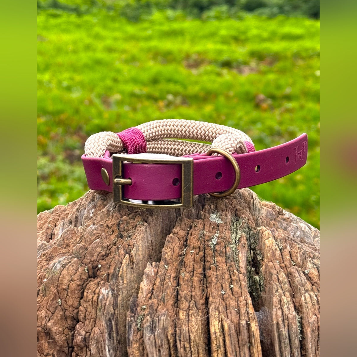Sand & Burgundy - Classic Rope Dog Collar