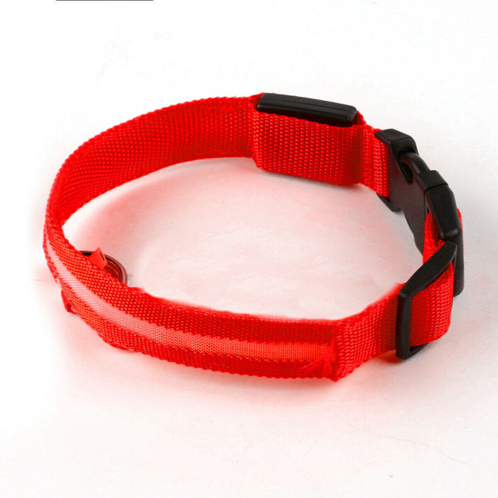 USB Rechargeable LED Dog Collar