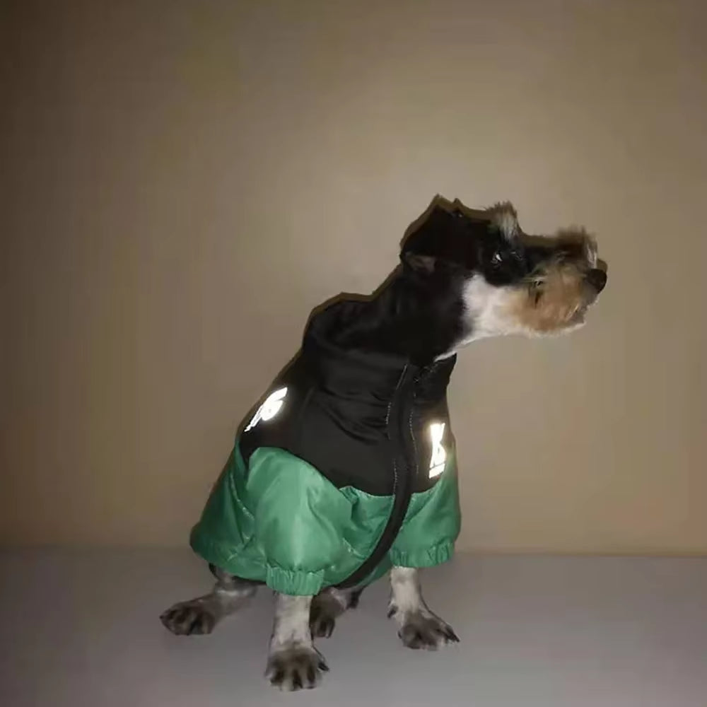 Luxury Dog Down Jacket – Warm, Waterproof & Reflective Winter Coat ❄️🐶